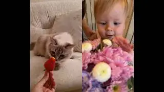 БУКЕТИК МАЛЫШУ😻 от наших друзей Машули, Бори и Беатрис💕 