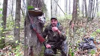 Hunting with a Laika!! Martens. Ferrets and everything else!!