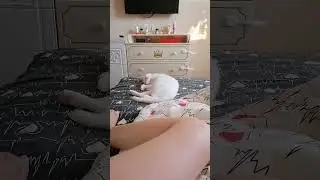 доброе утро☺️☺️☺️☺️