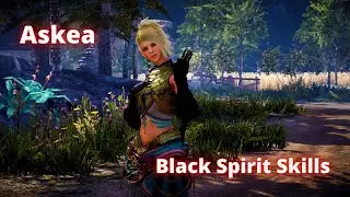 Askeia Black Spirit Skills and Evasion Animation - Black Desert Mobile Kr
