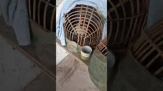 Кабки шикори овози