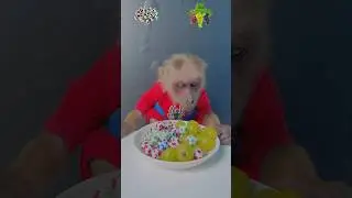 Eating Emotional Fruit
