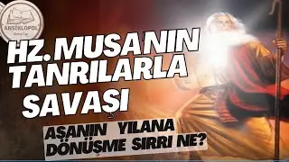 Hz. Musa'nın tanrılarla savaşı (Asa niçin yılana dönüştü?)