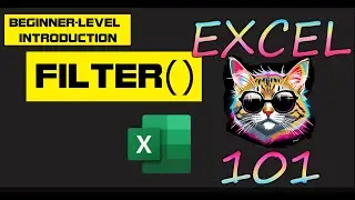 Excel 365 Intro to FILTER function - beginners guide!