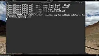 Using qpdf