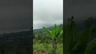 tracking perkebunan di puncak gunung pangrango