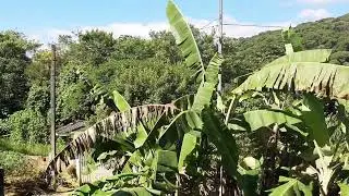 O Vídeo De Hoje e agradecer por pode ver este dia tão lindo...