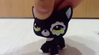Аделия J Si Cat's транса lps