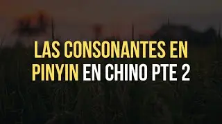 📚 Lección #7: Consonantes en Pinyin Pt. 2 | H, B, P, D, T, G, K  ¿Cómo se pronuncian?