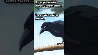 Птичка, чтоб её... КРД мем #36 #крд #аниме #мемы #приколы #танджиро #недзуко #иноске #зенитсу #ворон