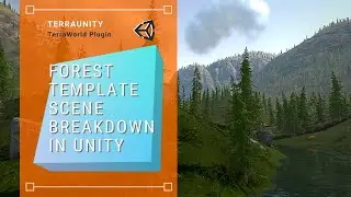 TerraWorld's Forest Template Scene Breakdown in Unity