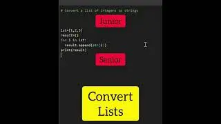Junior Vs. Senior Python Developer 