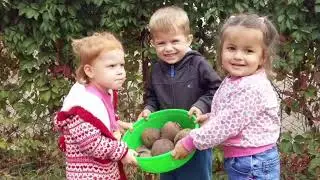 Праздник урожая!