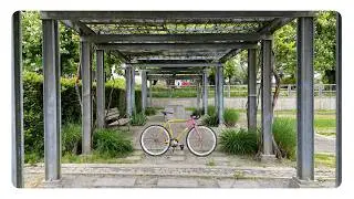 Libraries, Coffee, Sunshine | Fixed Gear Errands