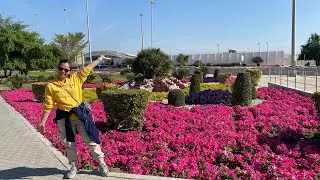 Wonderful Morning Walk at Doha #dove #walking #iloveqatar #nationalday