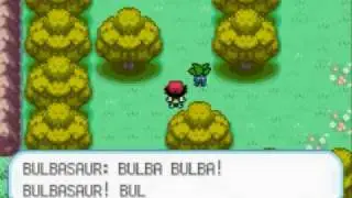 Ash Gray Phase 8: Crouching Bulba, Hidden Sores