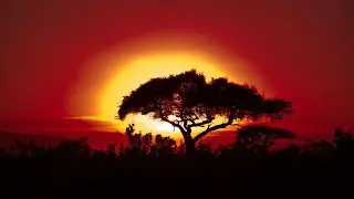Live from Africa -Eid Mubarak & New Video