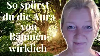 Aura eines Baumrs spüren, komm ich nehm dich mit!