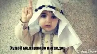 Модар парасдори дилам