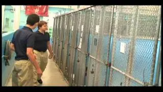 The Humane Society