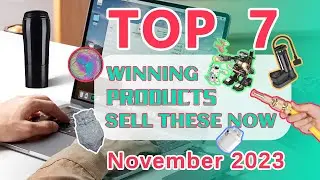 Wefulfil Top Winning Products