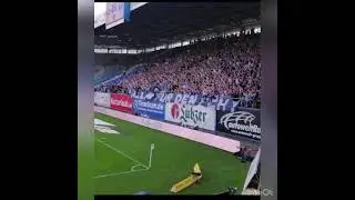 Hansafans feiern mit den Spielern nach dem Heimsieg gegen Darmstadt!