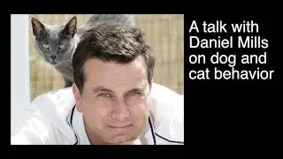 Studying dog and cat behavior, with Daniel Mills