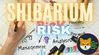 THE GREAT SHIBARIUM OPPORTUNITY: LOW RISKS, HIGH REWARDS