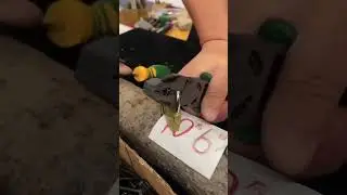 Product Link in Bio ▶️ 