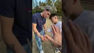 The first dog to get a stick thrown at him🐕 