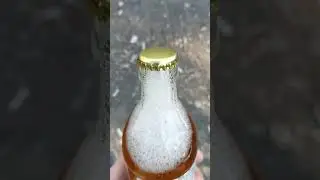Холод и Солод