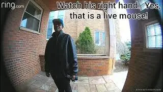 Security surveillance camera compilation video catching thieves breaking in and or stealing