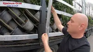 Полиция свела на паркинг... 