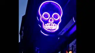 Lelon STG- Neon