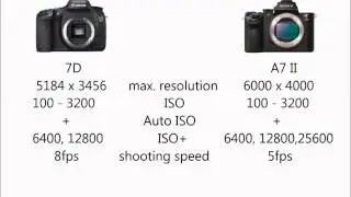 Canon 7D vs Sony A7 II