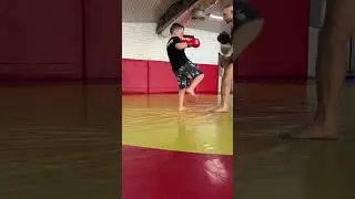 #phonk #training #bjj #mma #nature #boxing #kickboxing #muaythai #motivation #bestrong