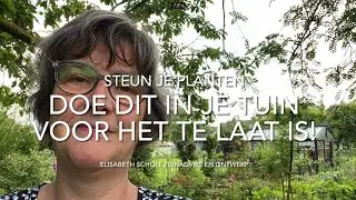 DOE DIT IN JE TUIN VOOR HET TE LAAT IS: STEUN JE PLANTEN!