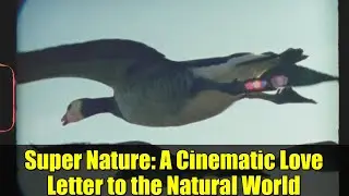 Super Nature: A Cinematic Love Letter to the Natural World