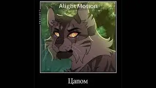 —::😨 #warriorcats