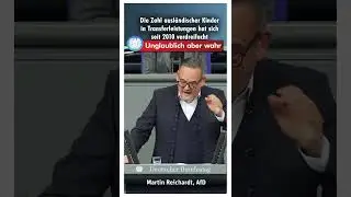 #AfD im #Bundestag #Short #Shorts