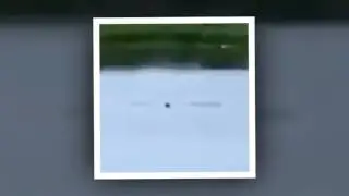 Florida Teenagers Who Mocked Drowning Man Won’t Face Charges