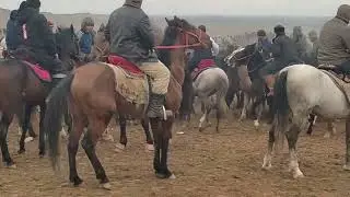 Бузкаши Олли дар Шахритуз
