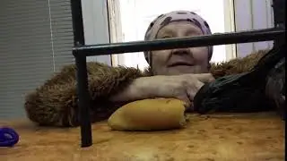 Я кобыла