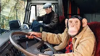 ЖЕНЩИНЫ В ДАЛЬНОБОЕ, НАЗВАЛСЯ КЛИЗМОЙ, ПОЛЕЗАЙ В Ж...