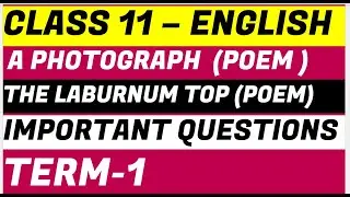 Class11 English POEM  A Photograph term1 important MCQ I most important Questions
