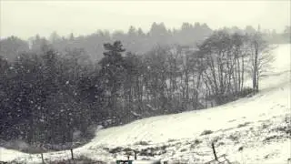 Alan Parker - "Ice Fields"