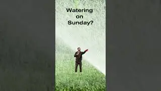 Watering on Sunday? NO.