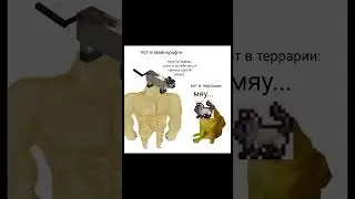 TERRARIA MEMES // CAT IN MINECRAFT VS CAT IN TERRARIA