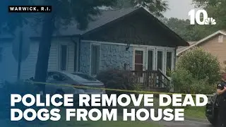 Animal abuse investigation underway after police find dead dogs at Warwick home