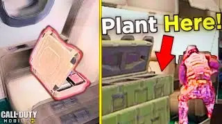 6 Search & Destroy Tips You Need To Know In CODM!